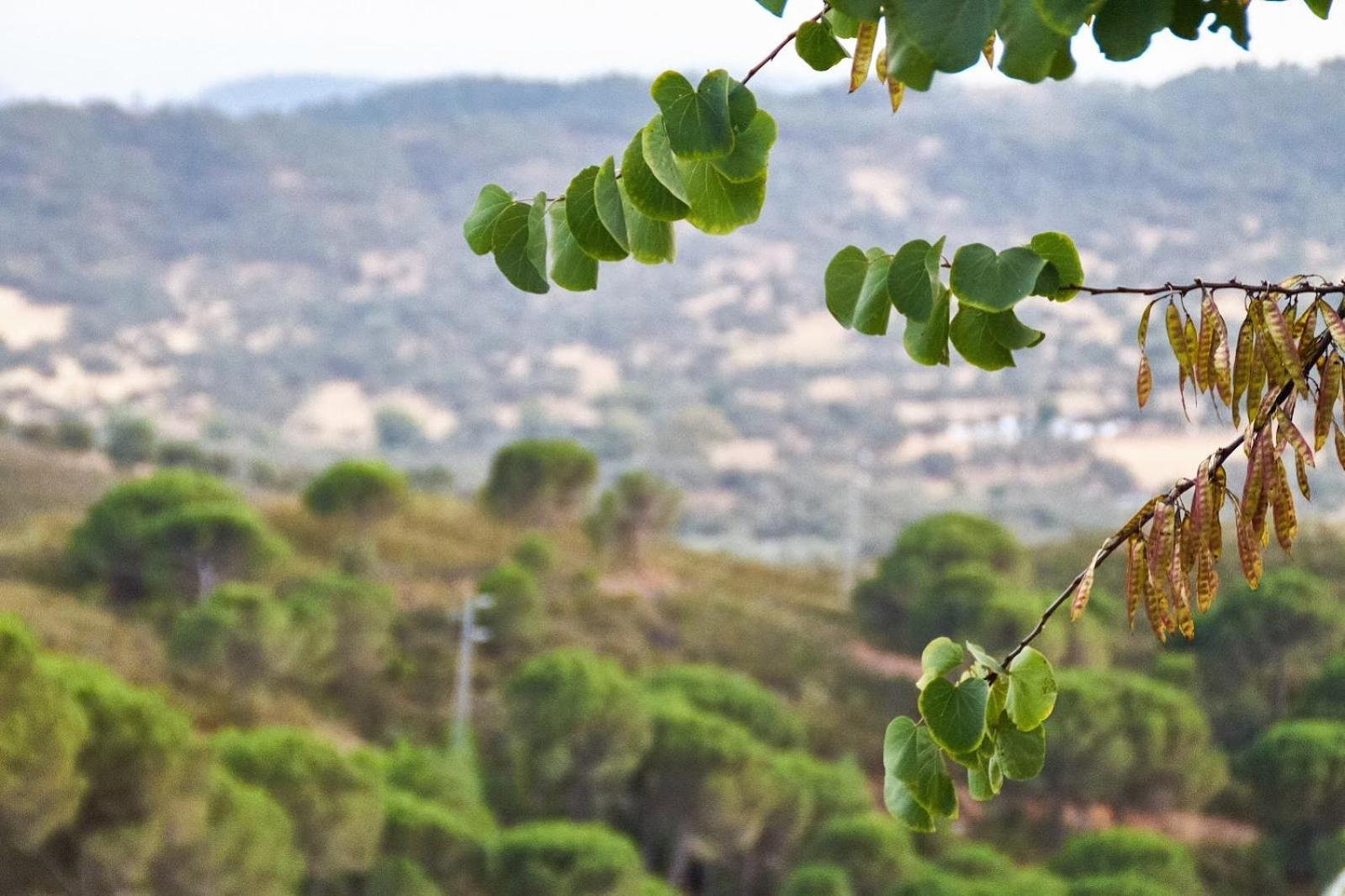 Complejo Los Veneros Santa Ana La Real Dış mekan fotoğraf